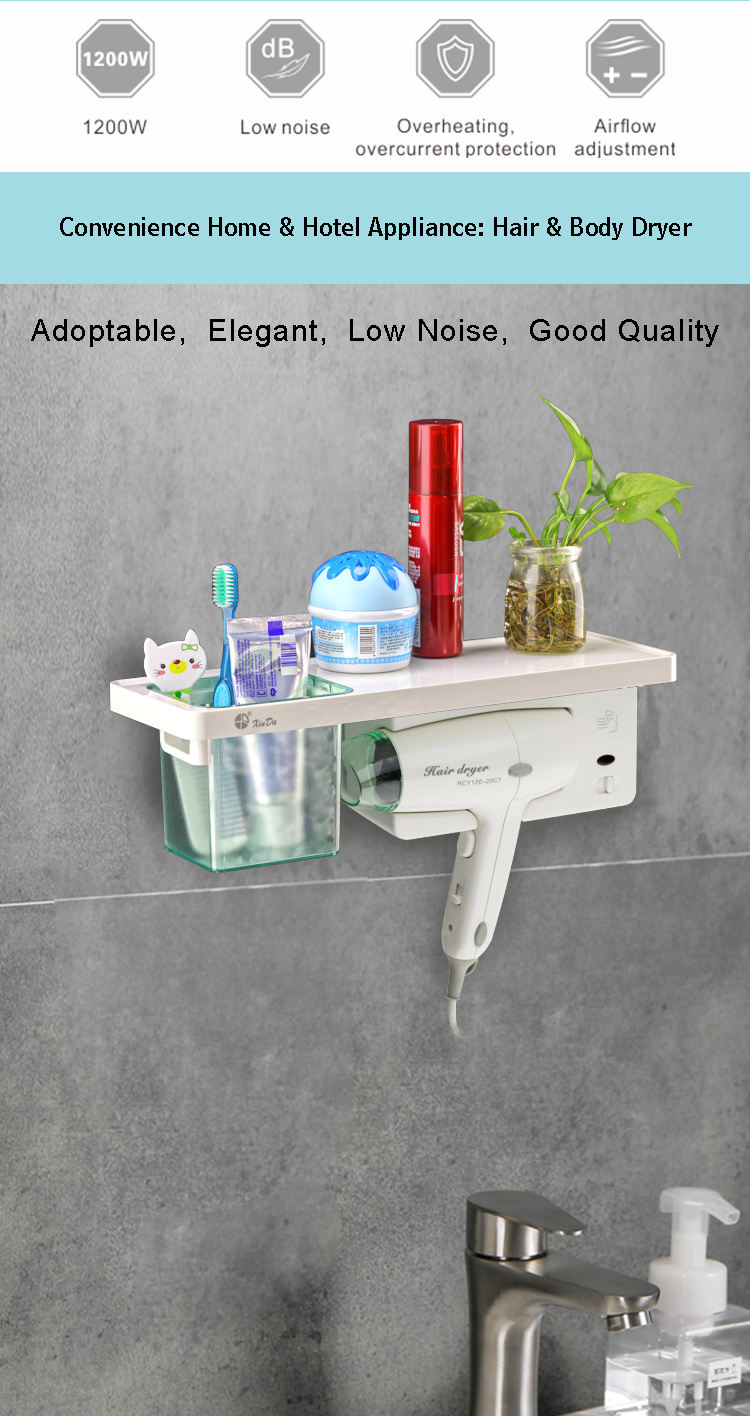 Professional Hair Dryer