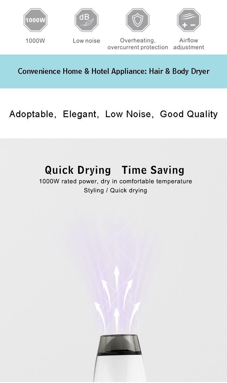 Convenience Hair Dryer