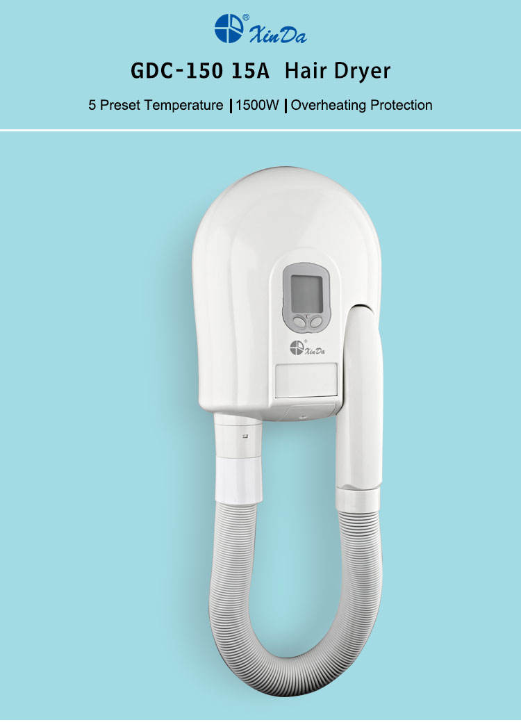 Volumizer Hair Dryer